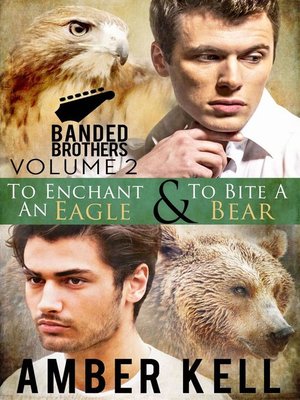 cover image of Banded Brothers, Volume 2